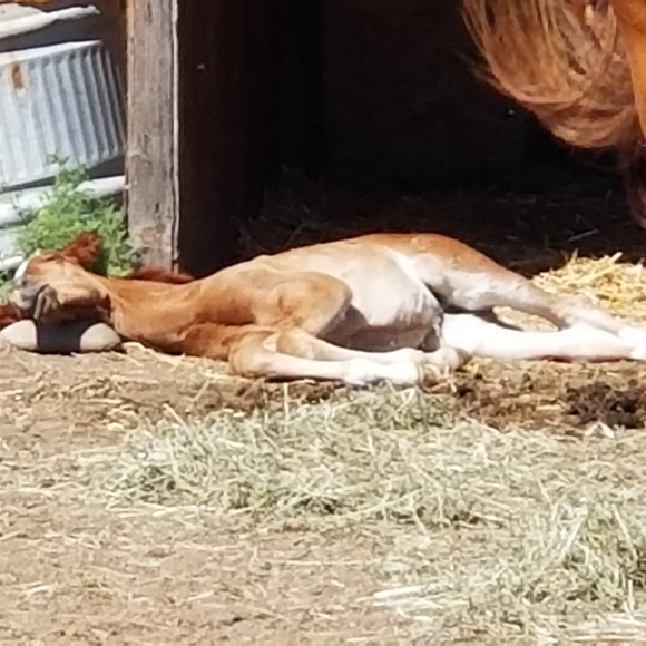 Meet your Posher, Ann - Picture 2 of 2